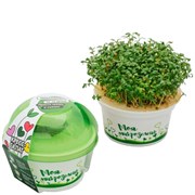 Набор для выращивания "Моя микрозелень" стакан - Кресс - салат