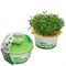 Набор для выращивания "Моя микрозелень" стакан - Кресс - салат - фото 10184